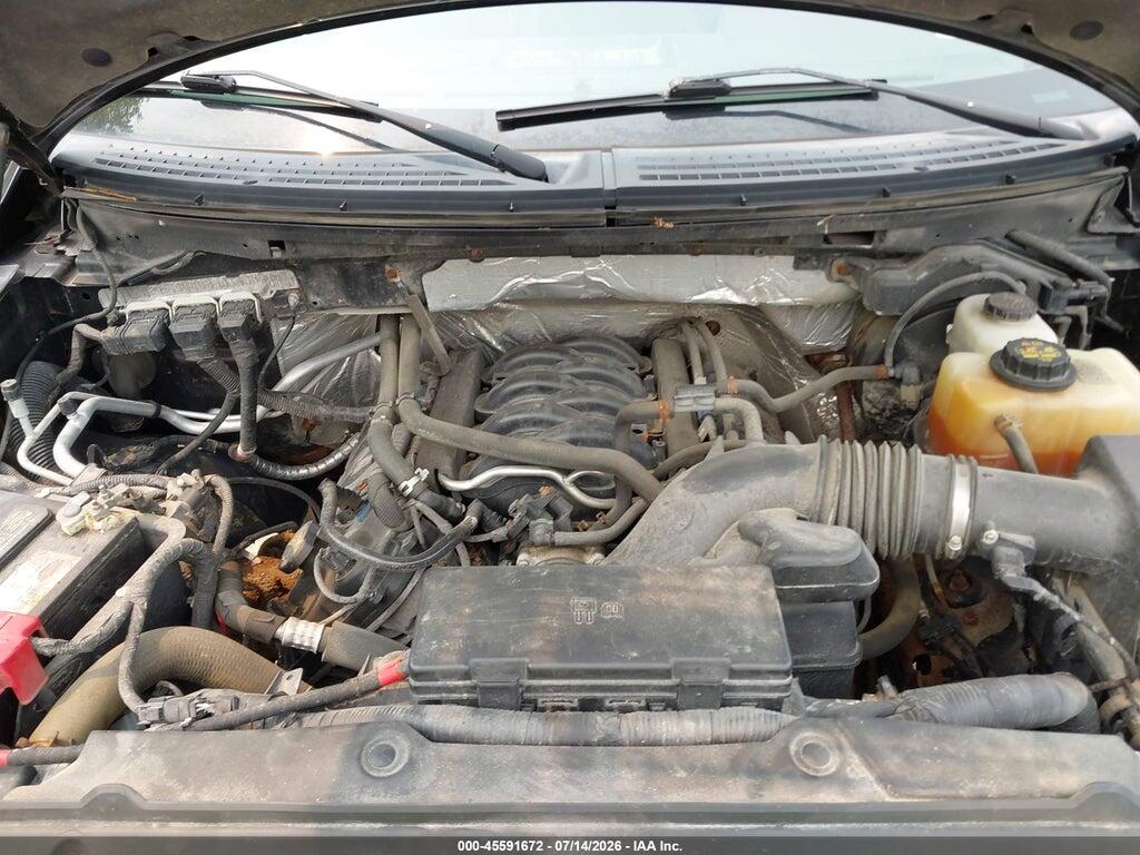 1FTFX1EF8DFD60807 2013 FORD F-150 photo no. 10