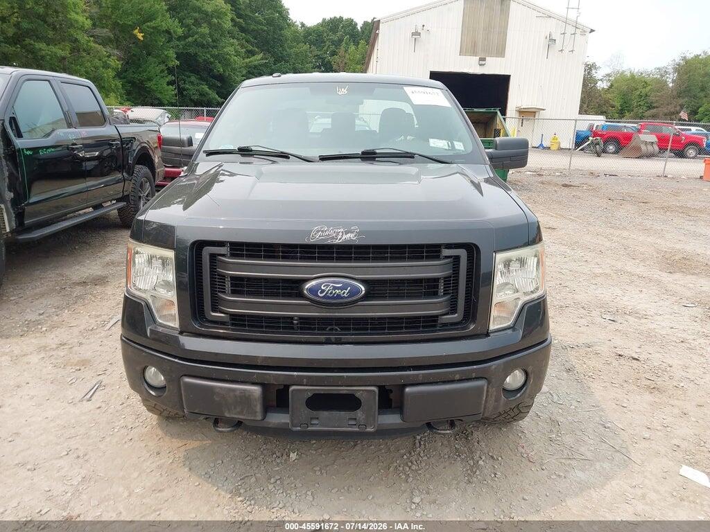 1FTFX1EF8DFD60807 2013 FORD F-150 photo no. 12