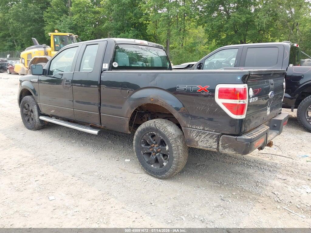 1FTFX1EF8DFD60807 2013 FORD F-150 photo no. 3