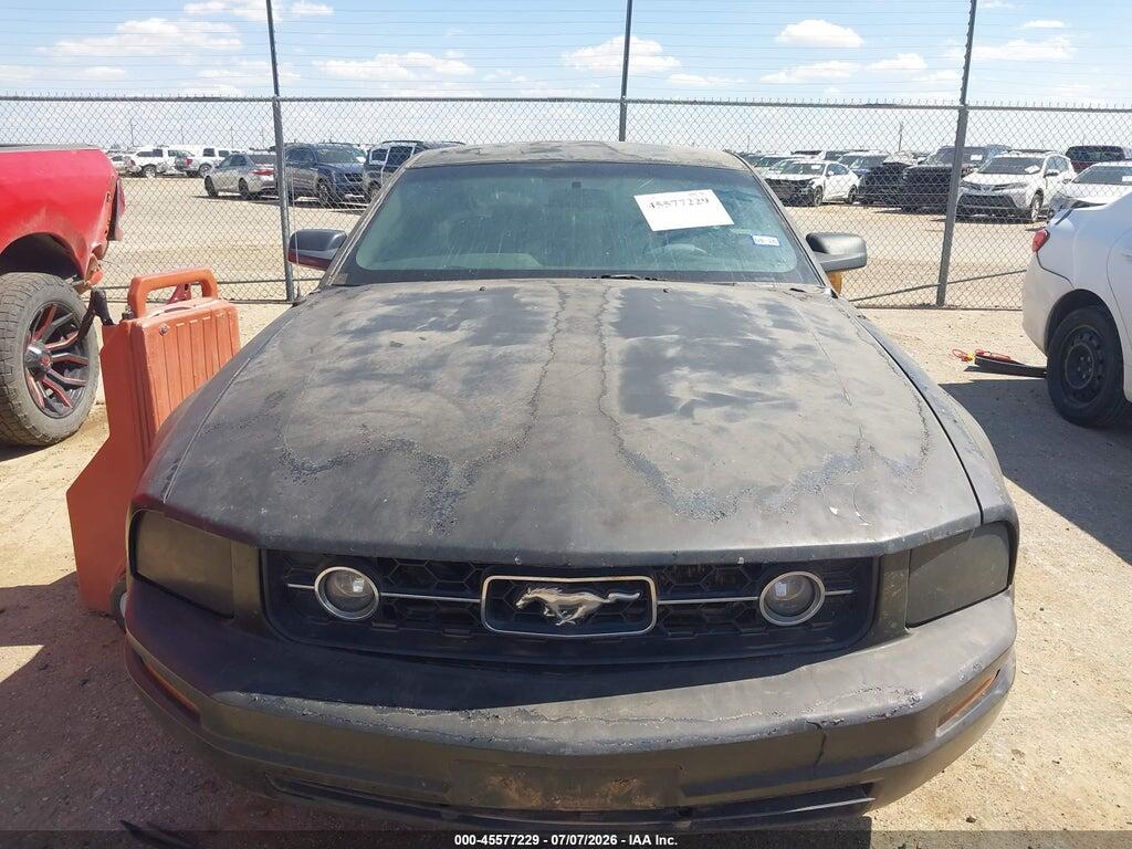 1ZVFT80N975288610 2007 FORD MUSTANG photo no. 6