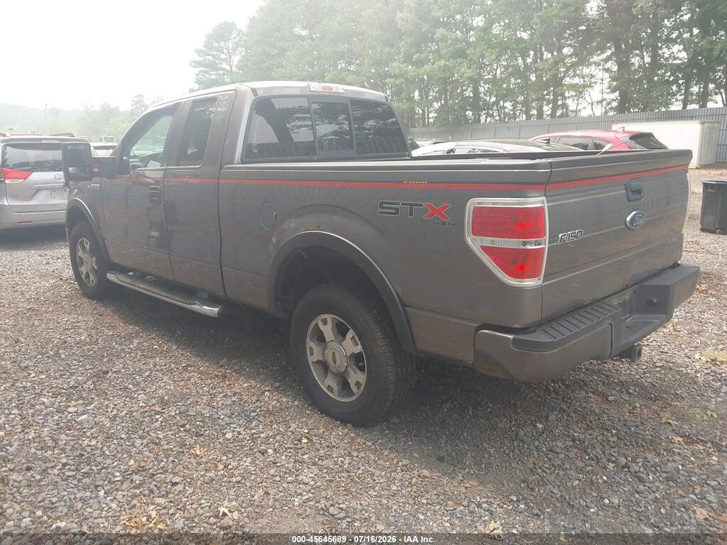 1FTEX1EW6AFA08848 2010 FORD F-150 photo no. 3