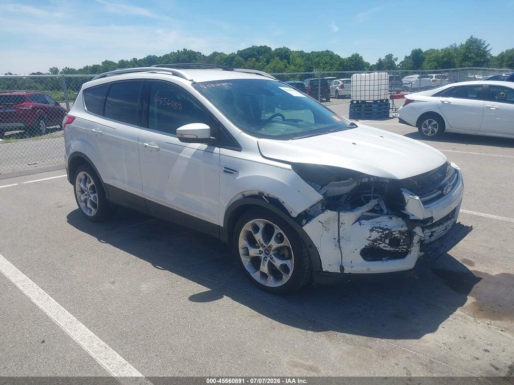 1FMCU0J96EUB60345 2014 FORD ESCAPE photo no. 1