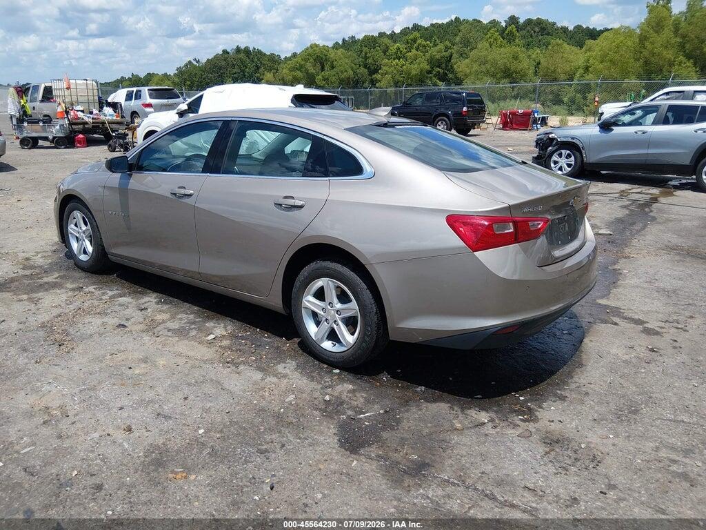1G1ZD5ST2RF126153 2024 CHEVROLET MALIBU photo no. 3