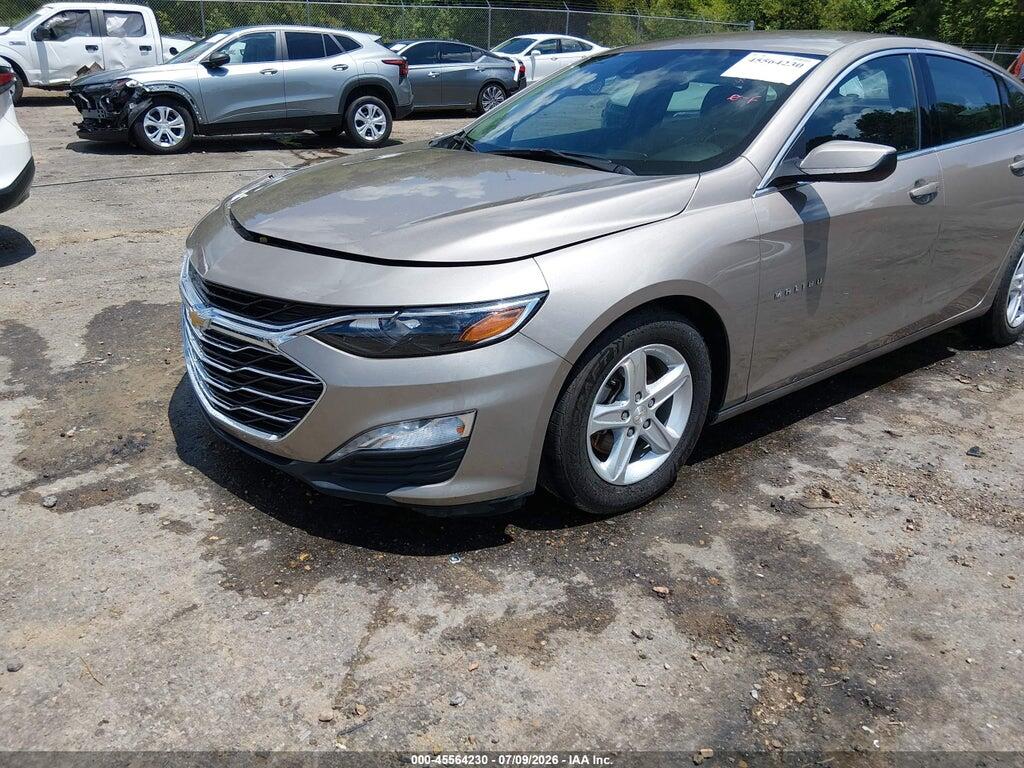 1G1ZD5ST2RF126153 2024 CHEVROLET MALIBU photo no. 6