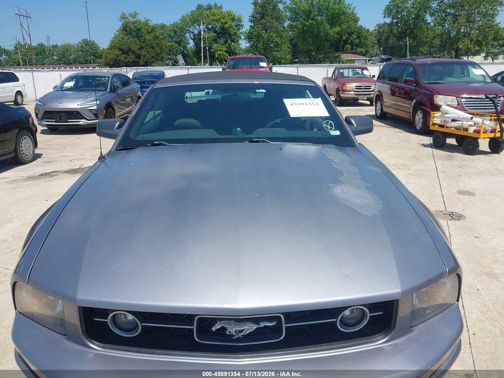 1ZVHT84N165219928 2006 FORD MUSTANG photo no. 12