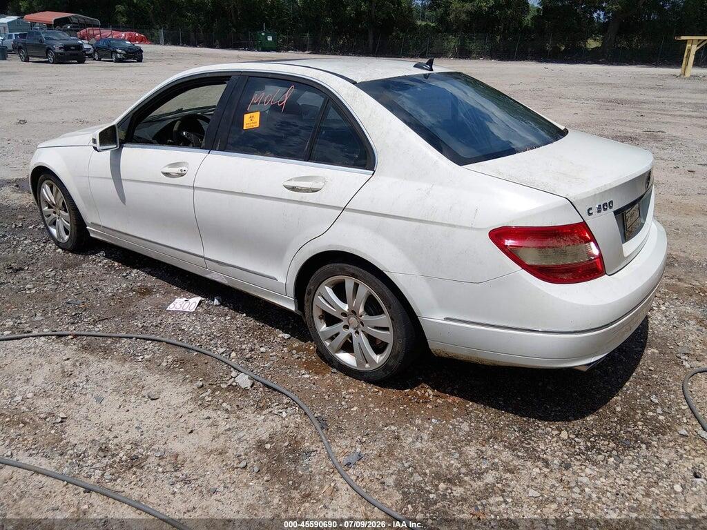 WDDGF8BB8AR126152 2010 MERCEDES-BENZ C 300 photo no. 3