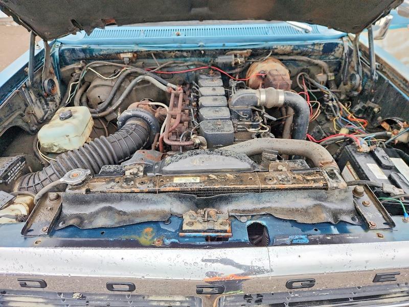 1986 DODGE D-SERIES D100 — Фото 11 из 13