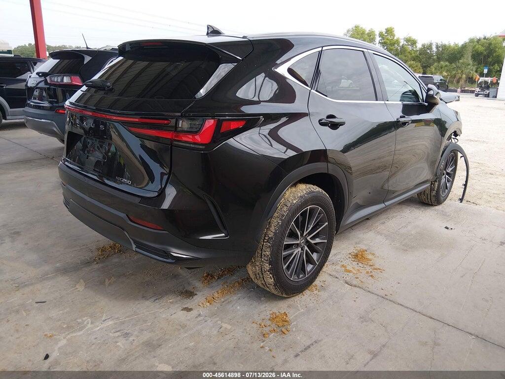 2T2ADCAZ9SC024437 2025 LEXUS NX 250 photo no. 4