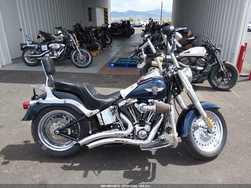 1HD1BXV10DB050897 2013 HARLEY-DAVIDSON FLSTF photo no. 12