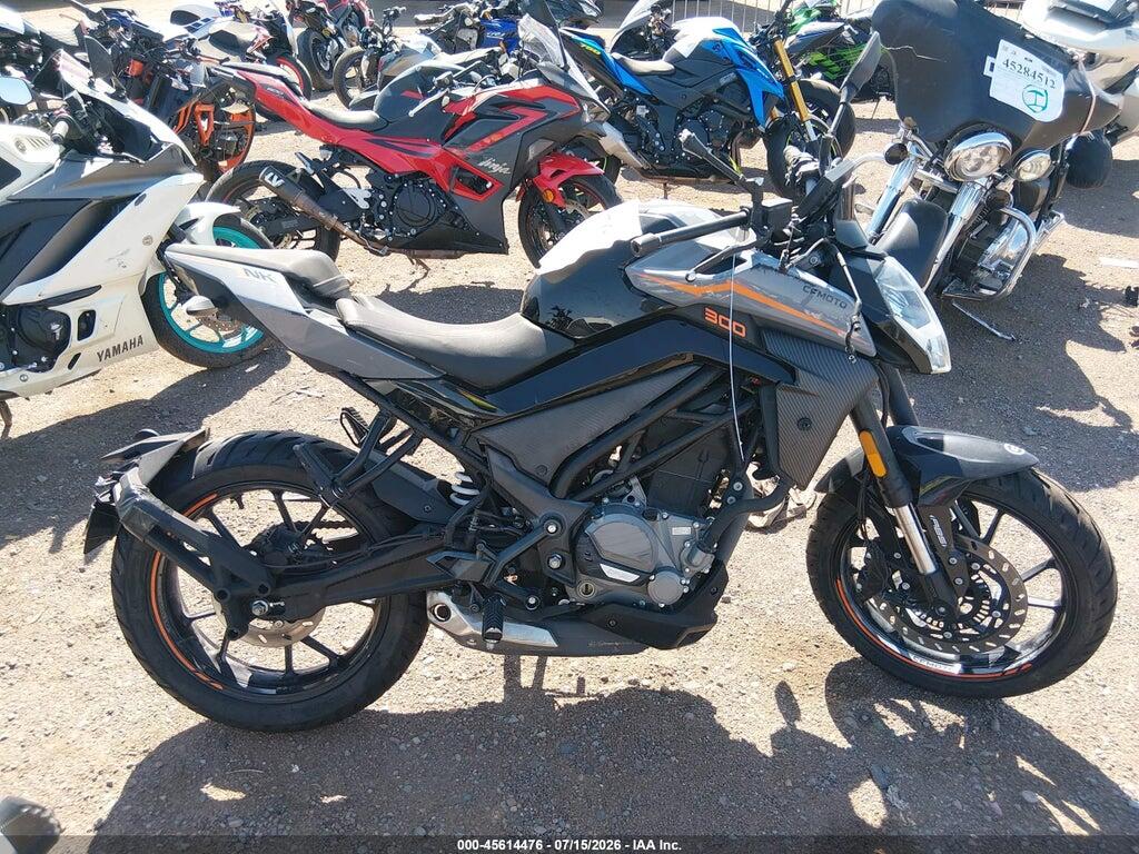 LCEPDPL16N6001951 2022 CF MOTO 300NK photo no. 11