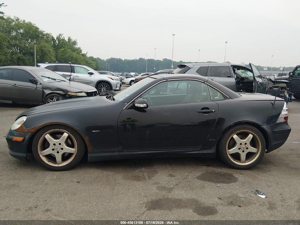 WDBKK65F32F247143 2002 MERCEDES-BENZ SLK 320 photo no. 12